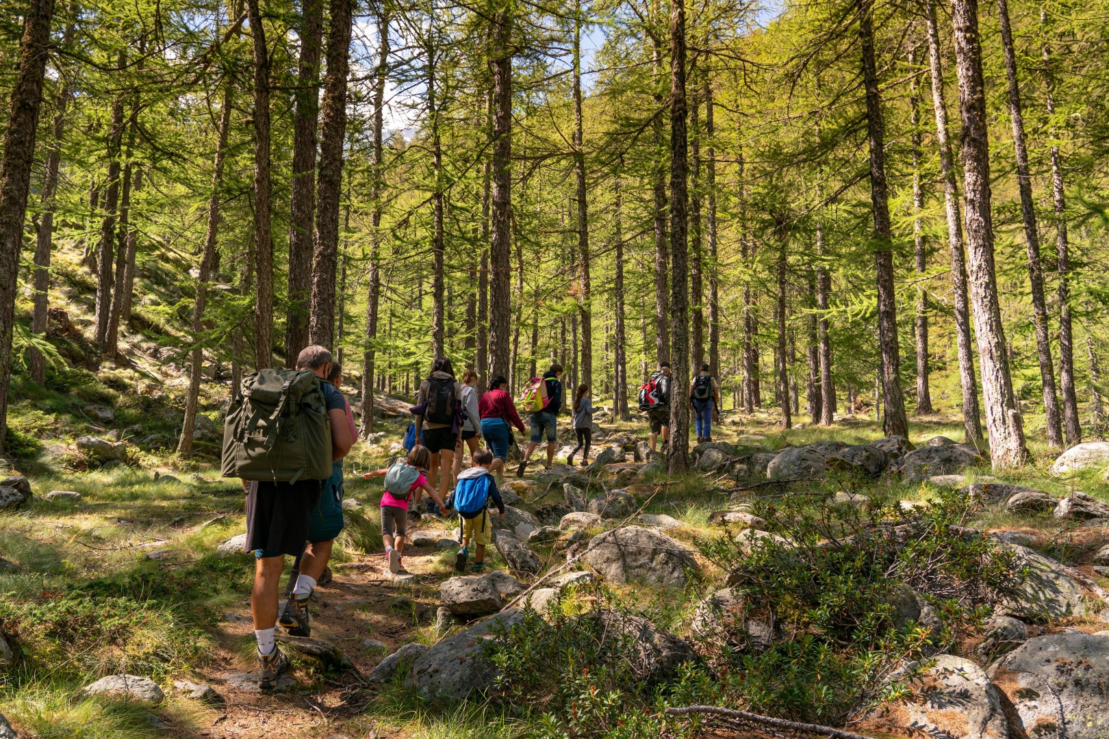 escursioni con le guide del parco bosco