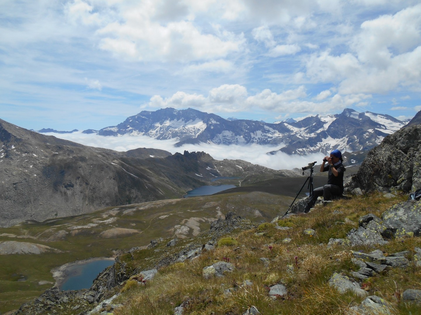 Antonella Cotza, partecipa allo studio a lungo termine sul comportamento sociale,  sull'uso dello spazio e sull’ecologia del camoscio alpino, nell’area di studio dell’alta Valle Orco.