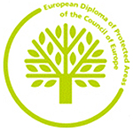 logo diploma europeo