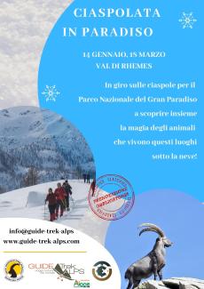Ciaspolata In Paradiso Con Guide Trek Alps