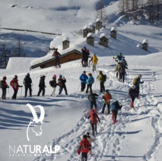 Dicembre sulla neve con NaturAlp