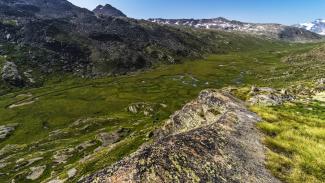 Escursione in Valle Orco alla scoperta della fauna alpina