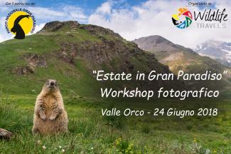 Workshop fotografico "Estate in Gran Paradiso"