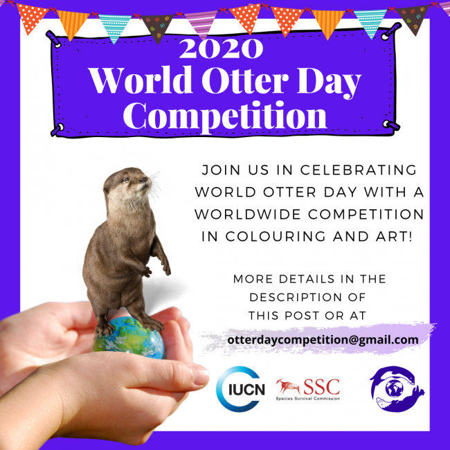 Concorso per la Giornata mondiale della Lontra 2020
