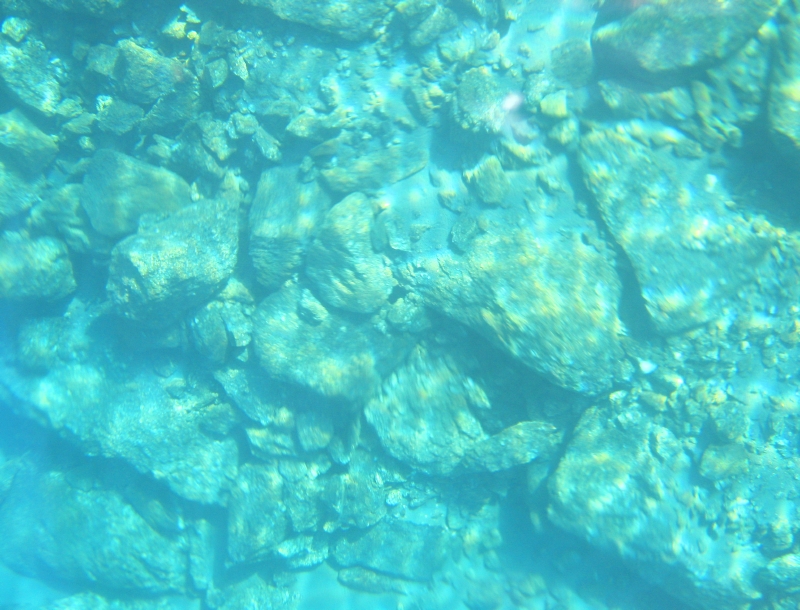Le acque trasparenti del lago di Motta sono indice di ultraoligotrofia