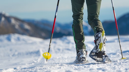 Sport e natura sulla neve