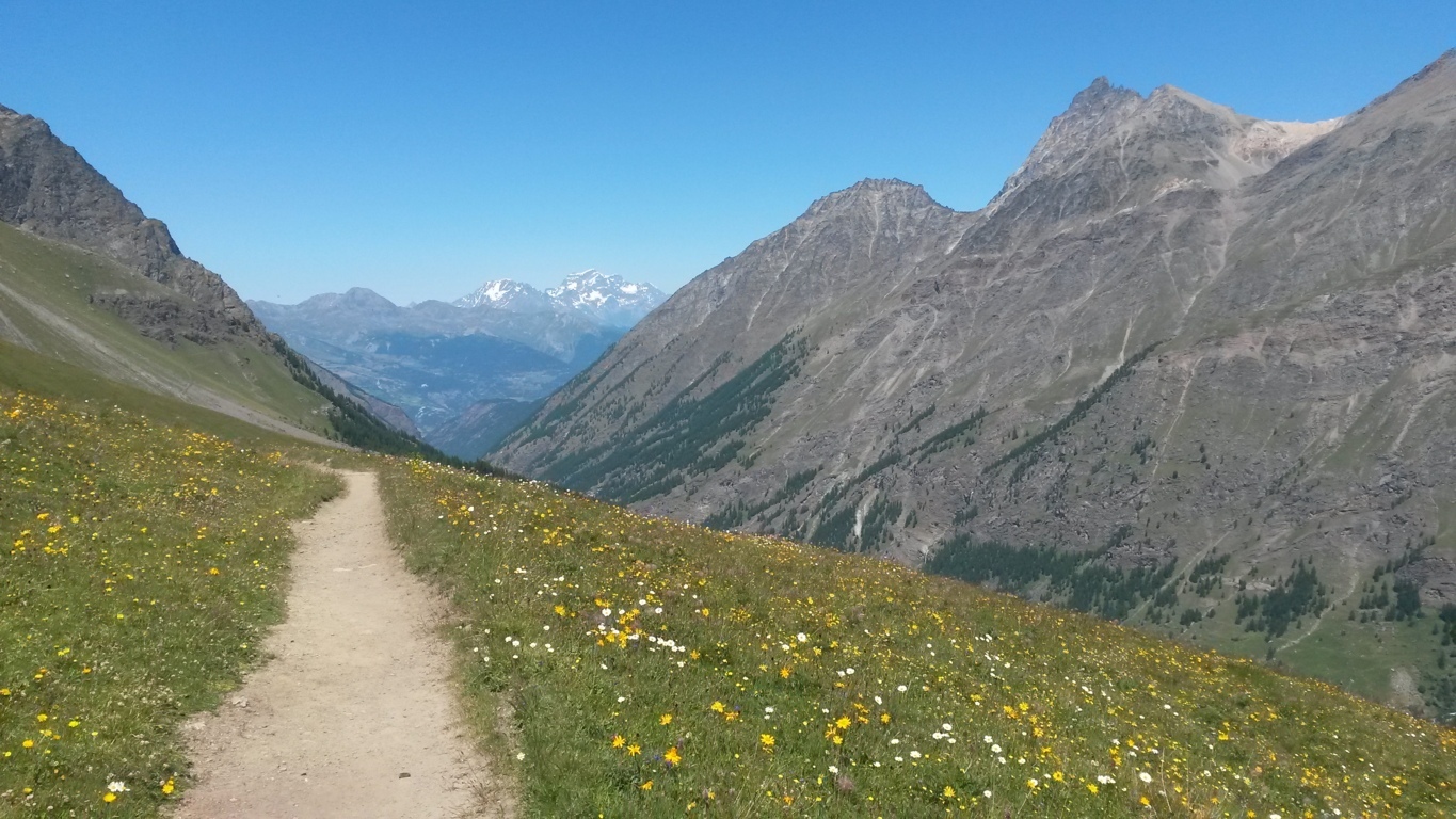 sentiero valsavarenche