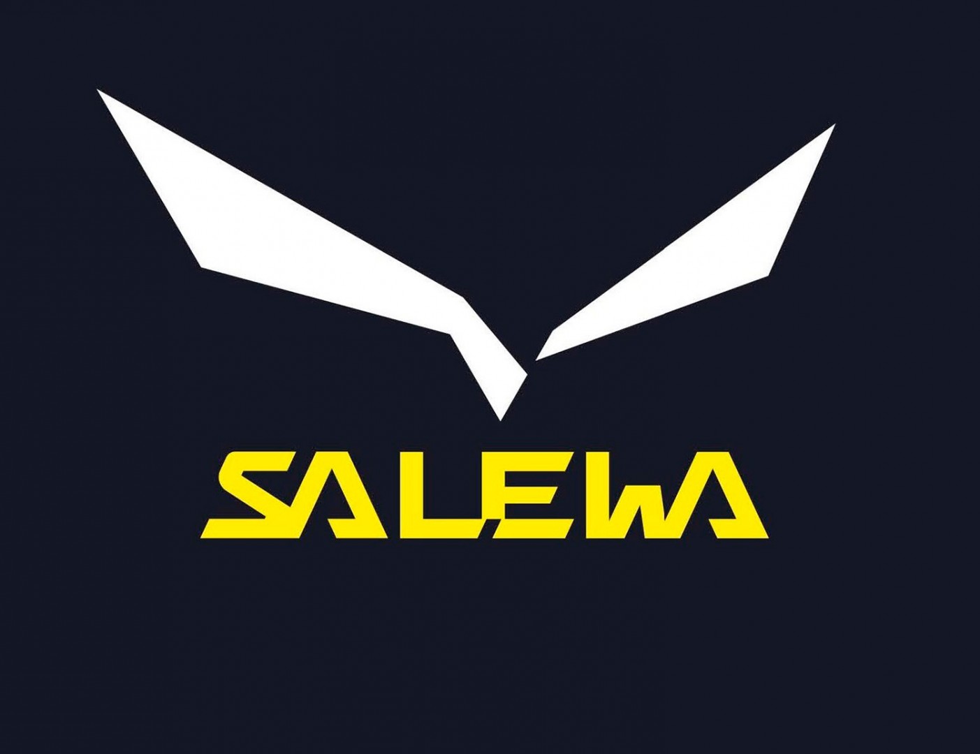 logo salewa