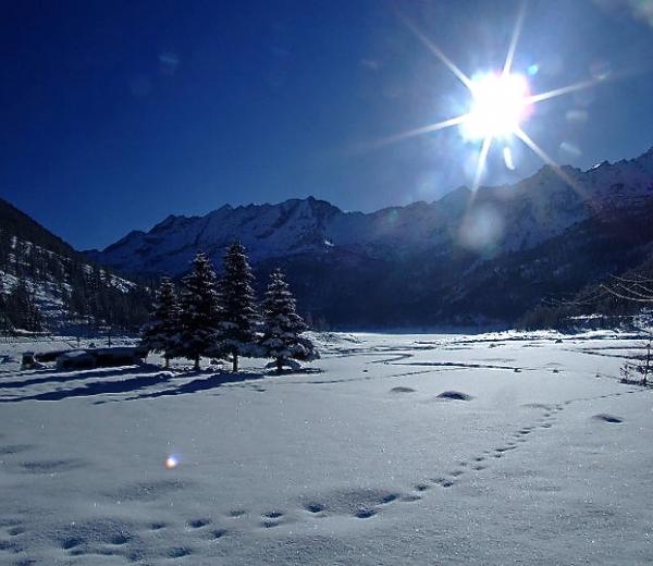 Sopra la panca la ciaspola...
