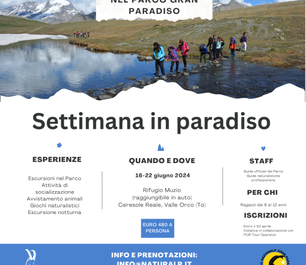 Campo avventura per ragazzi in rifugio