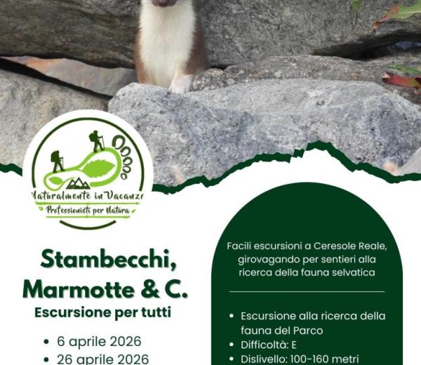 ermellino e testo scritto