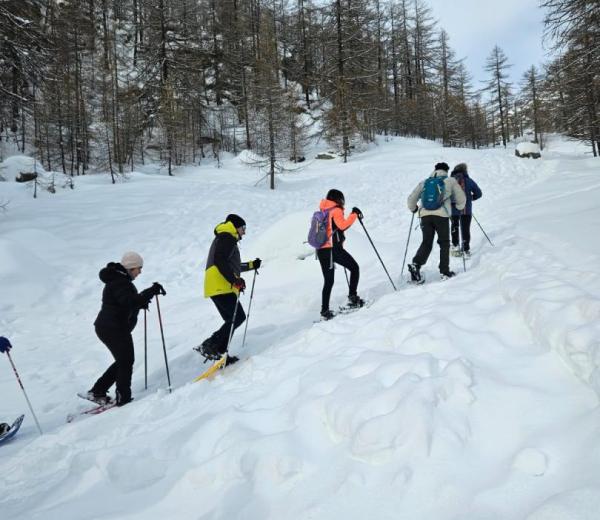 neve ed escursionisti