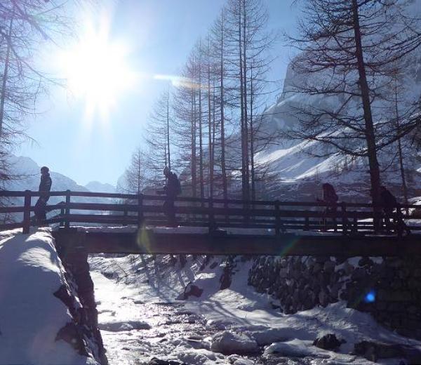 Ciaspolata di Santo Stefano con Guide Trek Alps