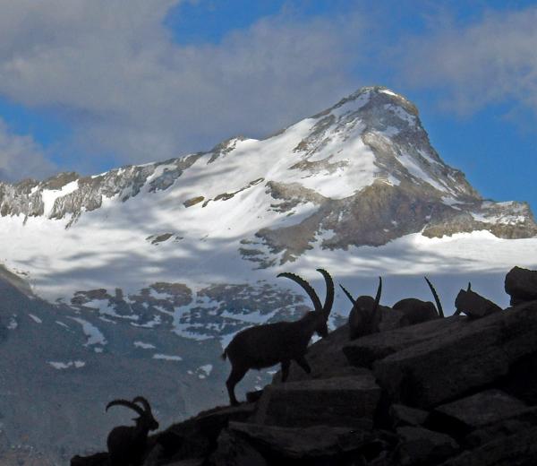 Sui sentieri del Paradiso