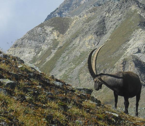 Sulle strade del Re: la casa di caccia del Gran Piano