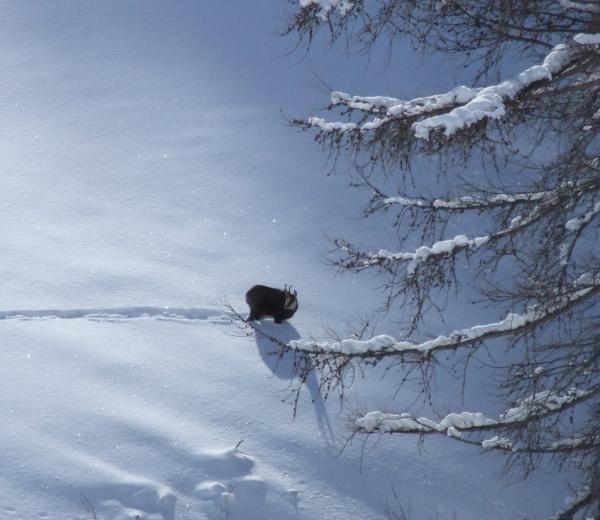 Vacanze di Natale con "Naturalmente in vacanza"