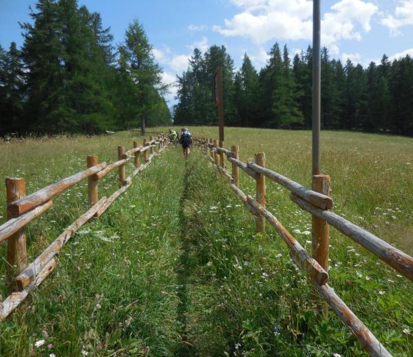 Bagno di foresta nel Parco Gran Paradiso