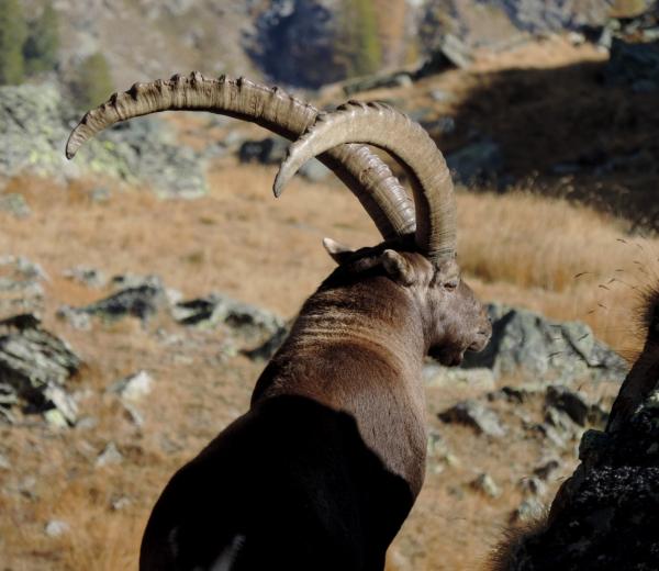 Il respiro dell'inverno