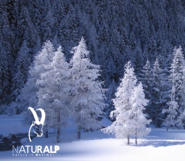 Marzo sulla neve con NaturAlp