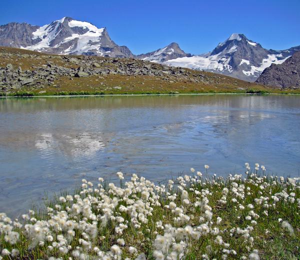 I sentieri del Paradiso