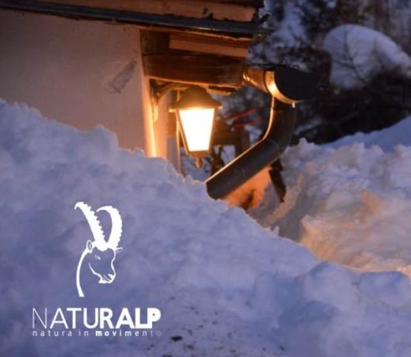 Gennaio in ciaspole con NaturAlp