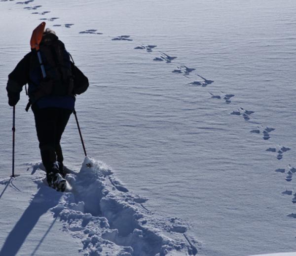 Escursioni con le guide di Habitat - dicembre 2017