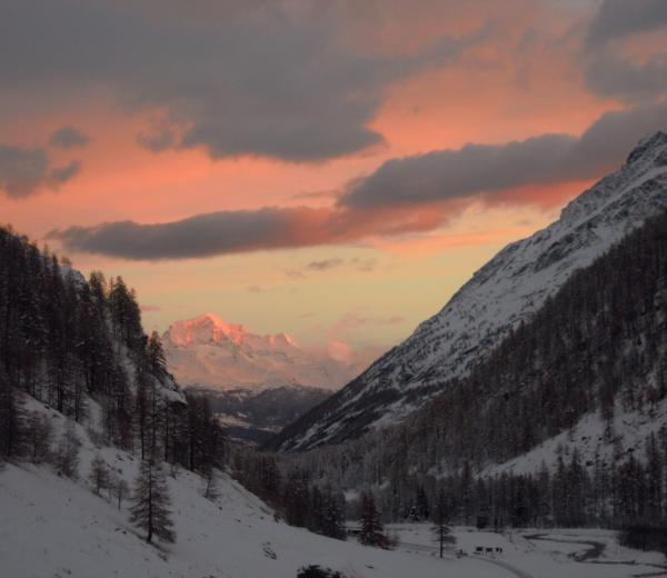Dicembre sulla neve con NaturAlp