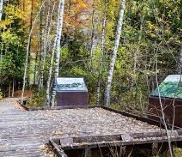 I racconti d'acqua - viaggio tra energia green e biodiversità