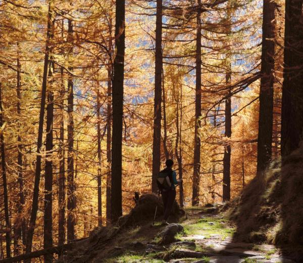 Il respiro dell'autunno