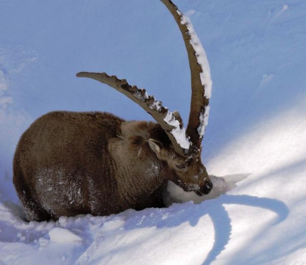 Escursioni dall'inverno alla primavera