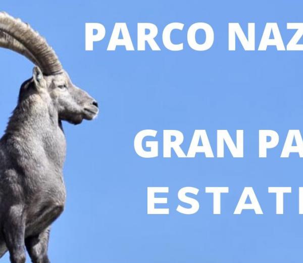 Escursioni con Guide Trek Alps