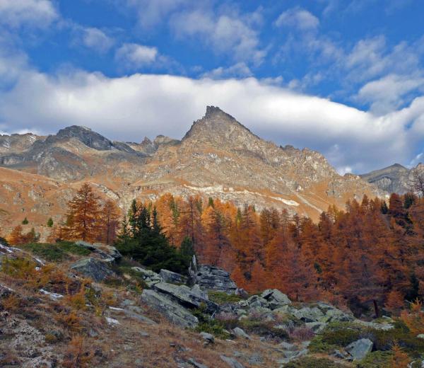 Escursione bioenergetica nel Parco