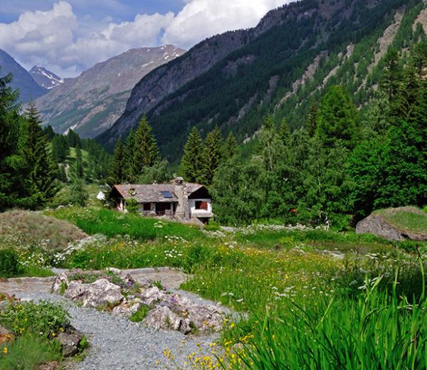 Il Giardino boranico Paradisia - foto di Lorenzo Rossetti