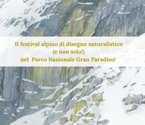 voila festival 2026 locandina