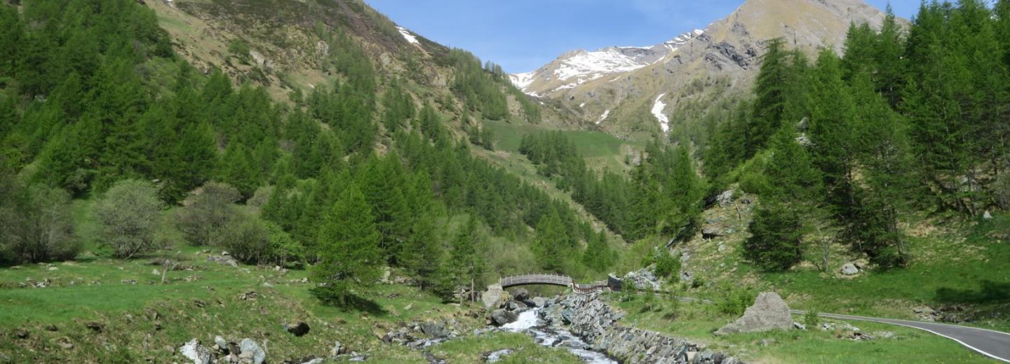 Alberto Conte, Piamprato, Soana