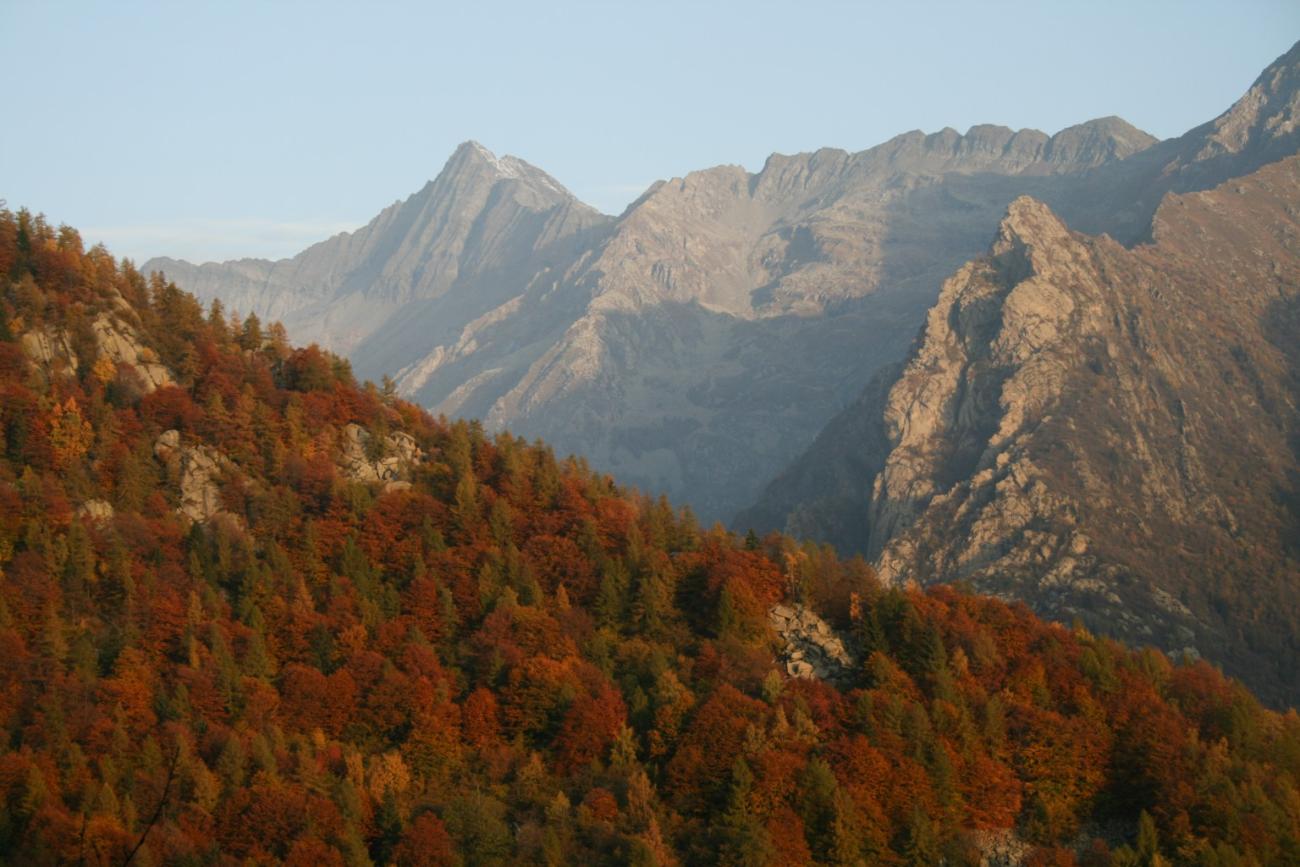 Gianpaolo Palladino, Val Soana, Vallone Fattinaire, autunno, paesaggio