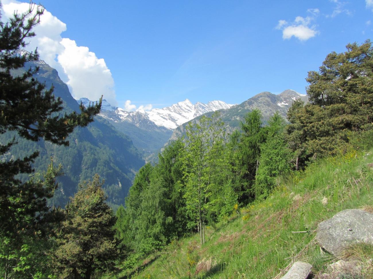 Noasca, Patrizia Vaschetto, mulattiera reale