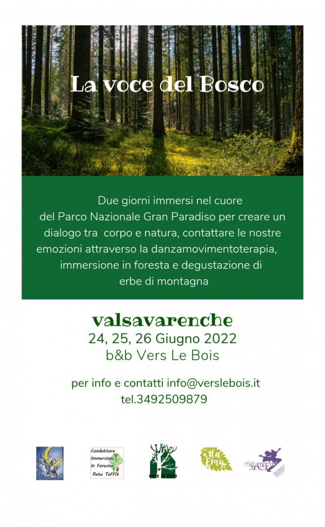 Locandina - La voce del Bosco