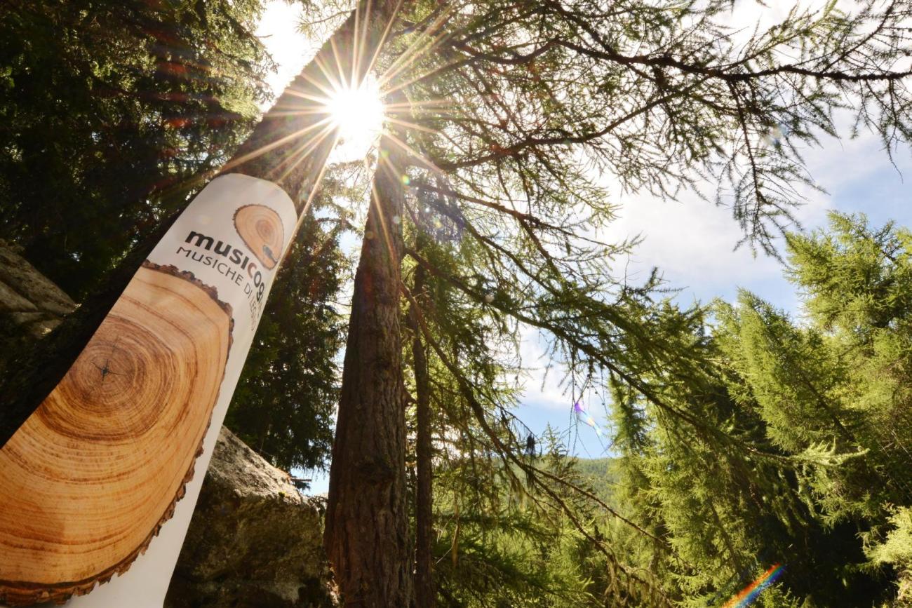 poster dell'evento MusiCogne in un bosco