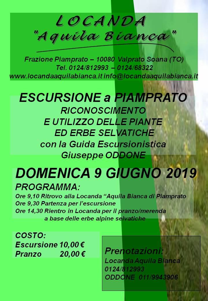 Escursione alla ricerca delle erbe selvatiche