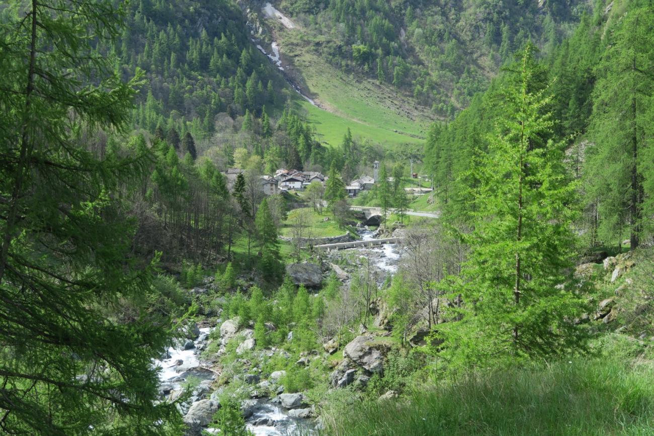 Pianetto, Soana, archivio PNGP