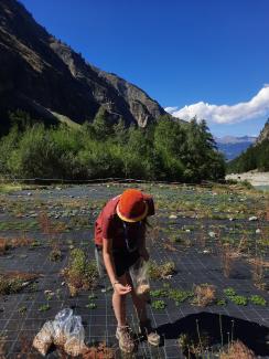 Cammino senza rifiuti - scout nel PNGP