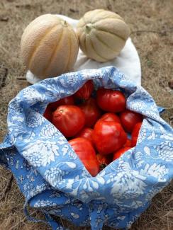 Cammino senza rifiuti - scout nel PNGP