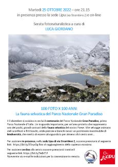 locandina serata lipu luca giordano