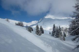 Ciaspolata in paradiso con Guide Trek Alps