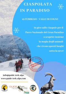 Ciaspolata In Paradiso Con Guide Trek Alps