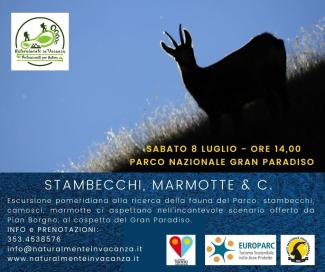 Locandina con camoscio controluce