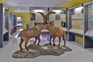 Centro visitatori di Noasca. Foto di Giordano - Olivero, archivio PNGP