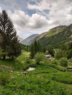 paradisia - archivio fgp