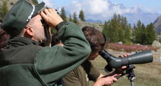 sorveglianza - demis massoni